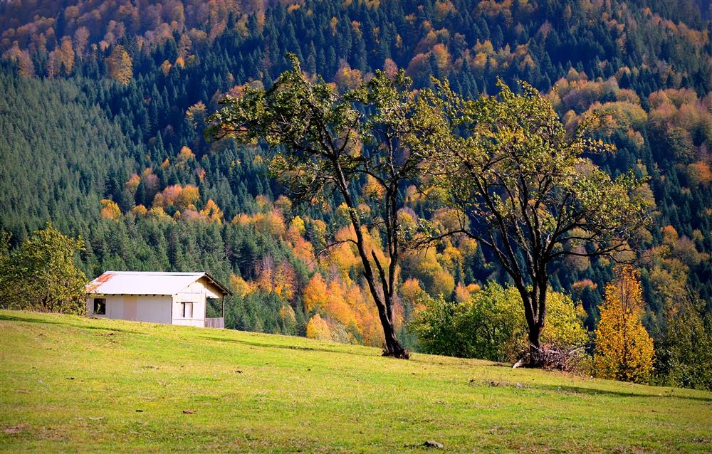 Düzce - Explore Places.