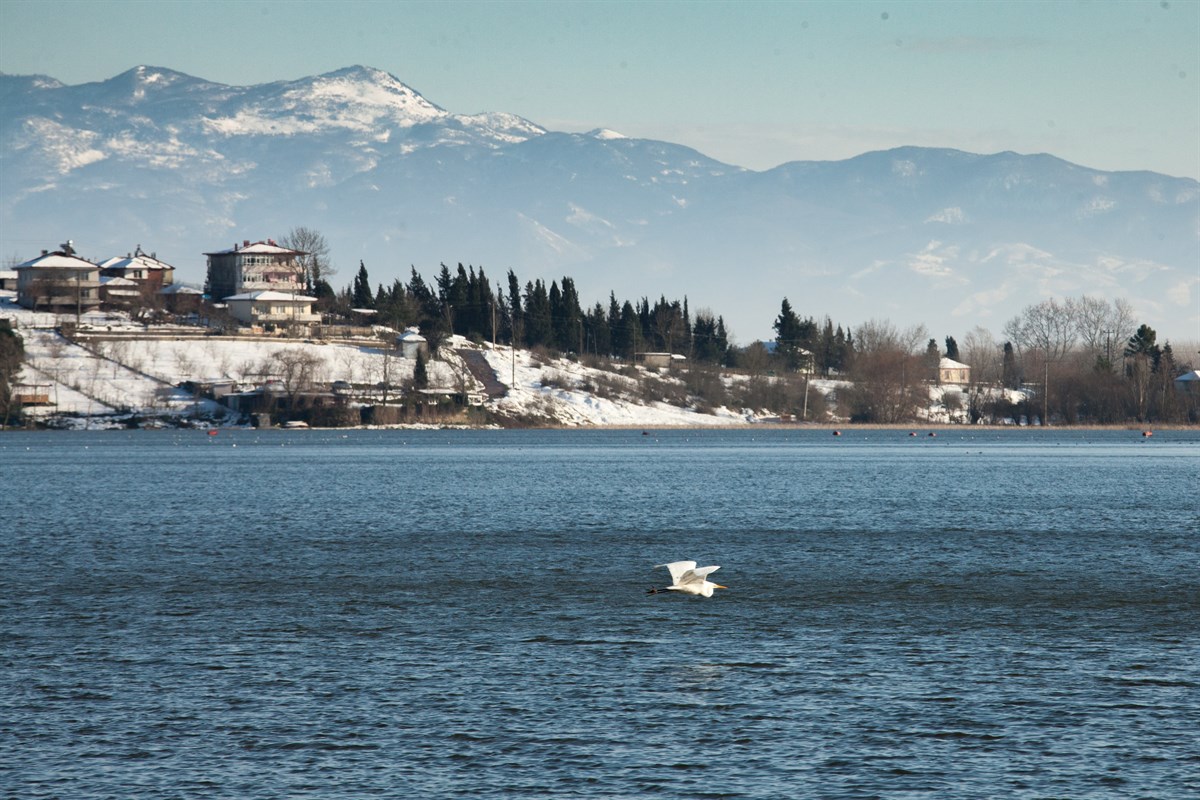 Sakarya